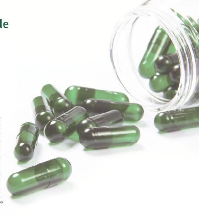 Acid-resistant HPMC capsules