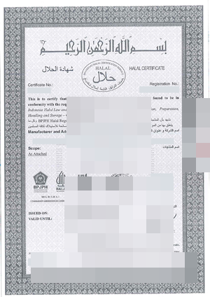 Halal first-page thumbnail
